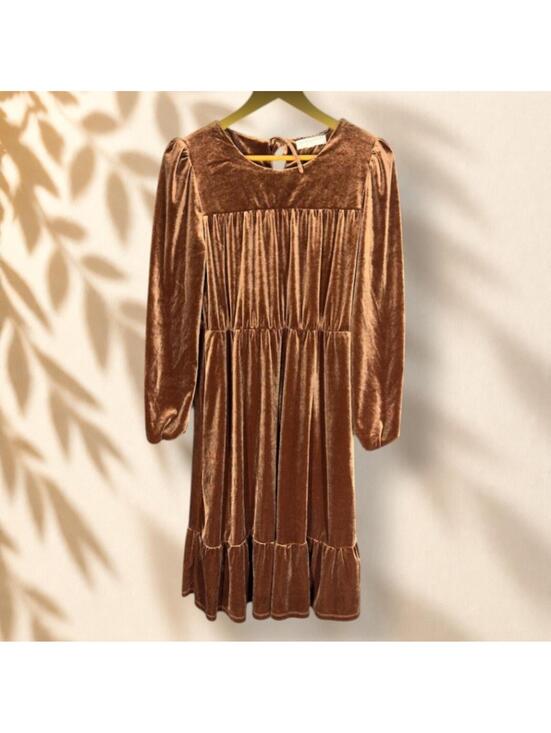 DownEast Dresses & Skirts - Downeast Dress Women L Large Brown Shift Midi Velvet Long Sleeve Tie Up Casual